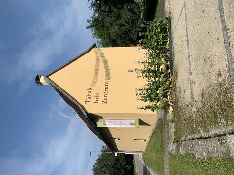 Eindrücke von: Info-Zentrum Tabakanbau in Franken Eindrücke von: Info-Zentrum Tabakanbau in Franken